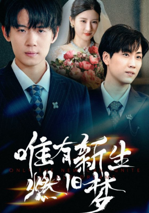 唯有新生燃旧梦（55集）好看的短剧