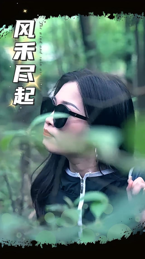 风禾尽起（31集）好看的短剧分享