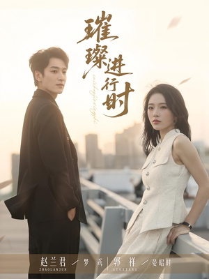 璀璨进行时（73集）免费在线看