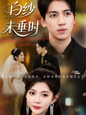 老婆婚礼我当证婚人（54集）古装短剧热播