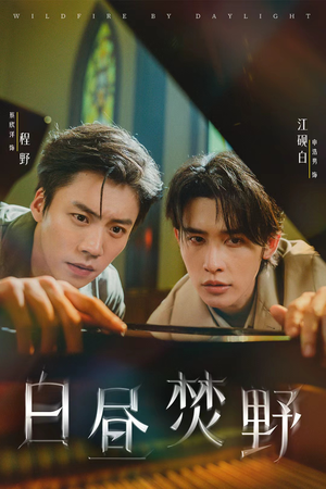 白昼焚野（70集）爱上了这部剧了