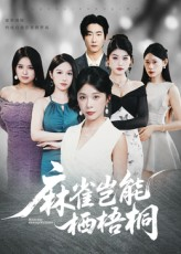 麻雀岂能栖梧桐（31集）精彩短剧抢先看