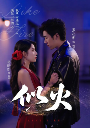 似火（80集）抢先看新短剧