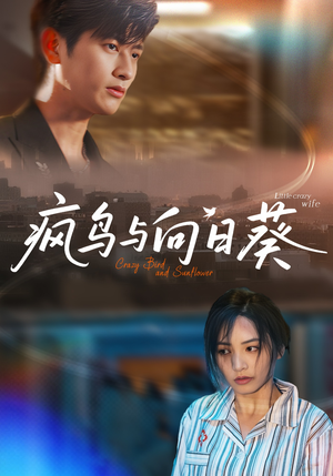 疯鸟与向日葵（40集）热门短剧推荐