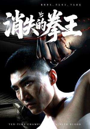 消失的拳王（72集）短剧免费看