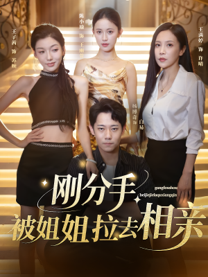 刚分手被姐姐拉去相亲(73集) 刚分手被姐姐拉去相亲(73集)全剧看到大结局