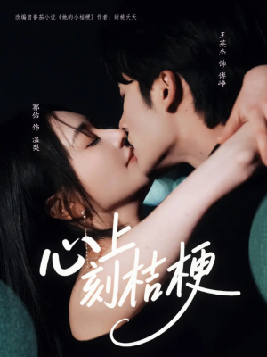 心上刻桔梗（90集）精彩短剧看全集