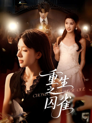 重生之囚雀（75集）每日短剧分享