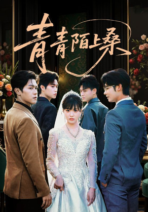 青青陌上桑(70集) 青青陌上桑(70集)好看短剧抢先看