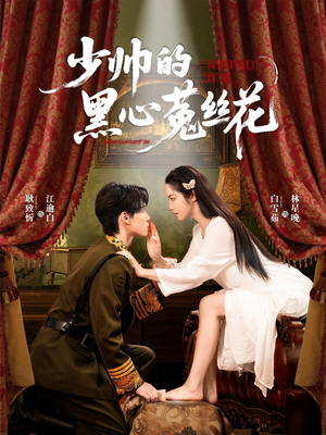 少帅的黑心菟丝花（60集）正能量短剧分享