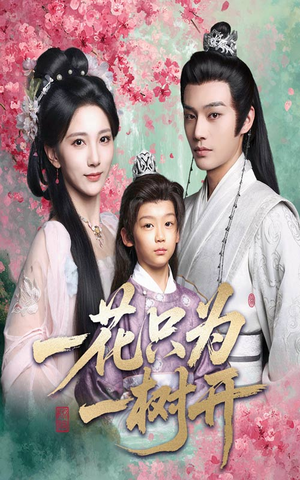 一花只为一树开（54集）爱上了这部剧了