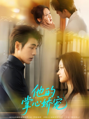 他的掌心娇宠（60集）好看短剧又来了