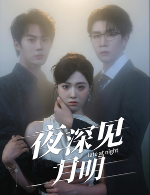 夜深见月明（50集）精彩的网络短剧
