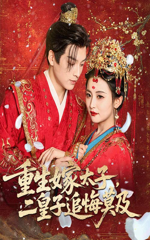 重生嫁太子二皇子追悔莫及（54集）上热门短剧