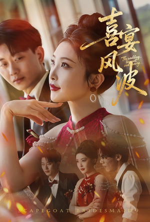 喜宴风波&替罪伴娘（30集）精彩短剧来了