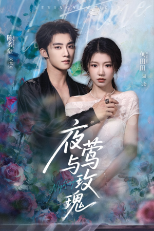 夜莺与玫瑰（66集）怎么看全集