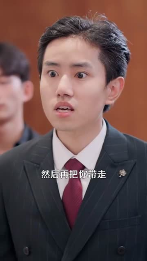 都市一品傻婿 (96集)每日短剧追不停