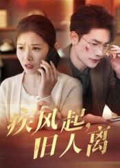 疾风起旧人离（32集）免费全集短剧