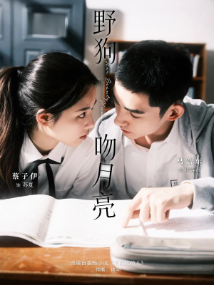 野狗吻月亮（68集）短剧中追到爽