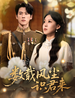 数载风尘识君来（62集）超好看的短剧