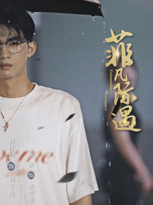 菲凡际遇（100集）网上可以看吗