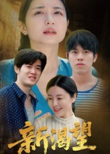 新渴望（30集）在线观看