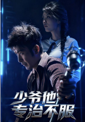 少爷他专治不服（74集）短剧小说在线看