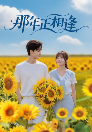 那年正相逢（60集）短剧解说热门