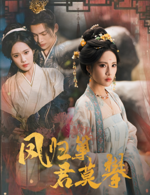 凤归巢君莫攀（60集）穿越短剧推荐