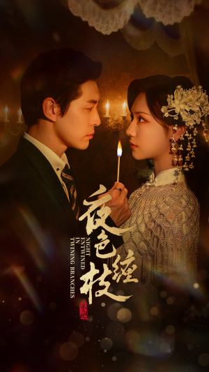 夜色缠枝百度HE版本（62集）爱上了这部剧了