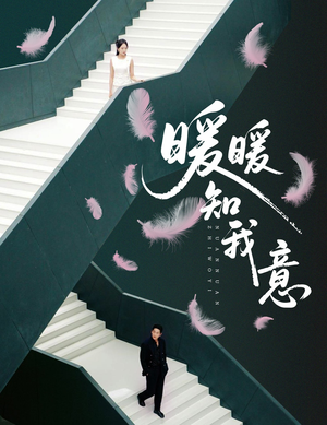 暖暖知我意（61集）排行榜前十短剧