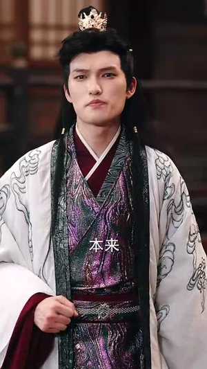 街边炒粉天下尊我为暗皇（70集）高分推荐免费看