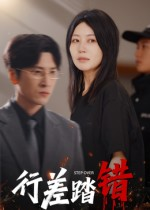 行差踏错（61集）精彩的短剧