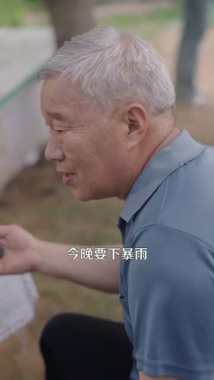 回档2000开启极品人生（106集）剧情简介