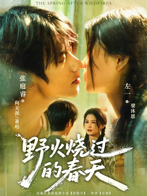 野火烧过的春天（85集）甜宠短剧追到爽