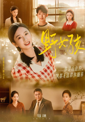 野女孩（91集）独家短剧免费看