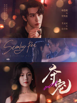 夺宠（88集）最新上映的短剧