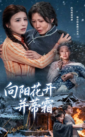 向阳花开并蒂霜（60集）高清画质免费看