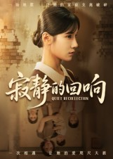 寂静的回响（62集）全集我都看完了