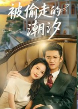 被偷走的潮汐（60集）最后的大结局