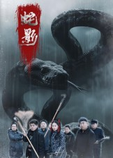 蛇影(25集) 蛇影(25集)全集在线看