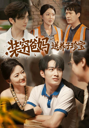 装穷爸妈送养子珍宝（60集）视频在线看