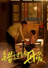 错过的母爱（32集）推荐你们也去看