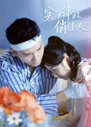 实习律政俏佳人（52集）全网独播免费看