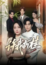 许我折桂（70集）短剧热播抢先看