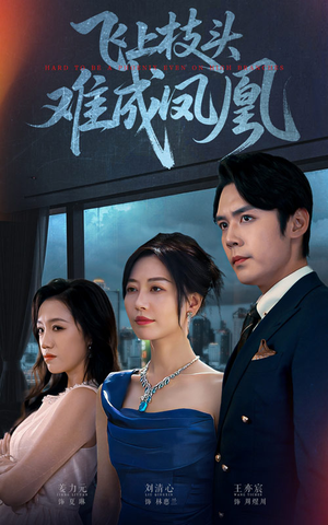 飞上枝头难成凤凰（47集）短剧介绍