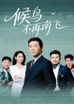 候鸟不再南飞（80集）火爆短剧热播中