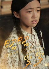 昭昭岁岁（30集）免费短剧看不停