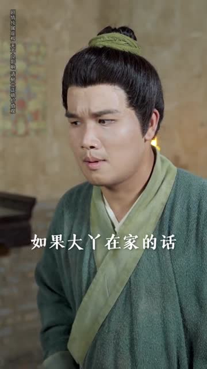 大力老太穿书后，掌家护女（80集）网络小短剧