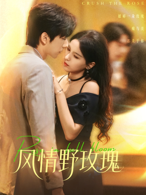 揉碎玫瑰（70集）在线播放